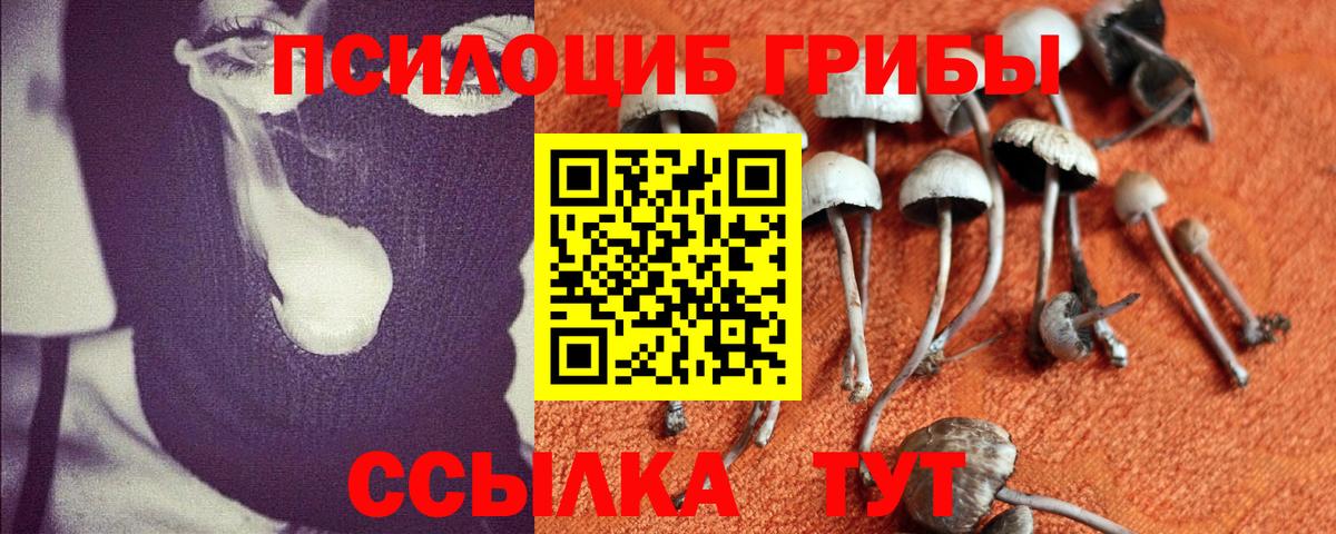 Елизово  Псилоцибиновые грибы Magic Shrooms  Вход с VPN 